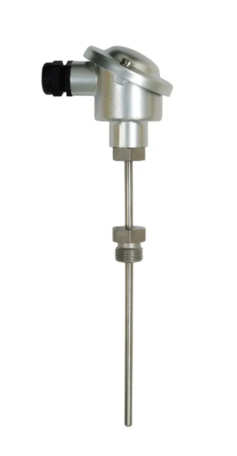Série CT 2000E Sondes de température Pt 100 avec raccord déporté