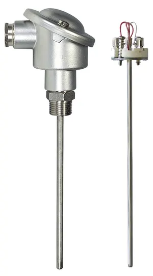 Série CT 2000I Sondes de température Pt 100 à élément interchangeable