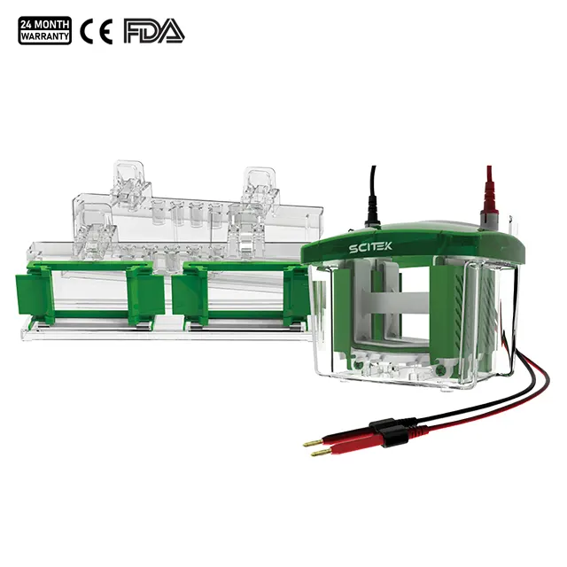 Vertical Electrophoresis Tank