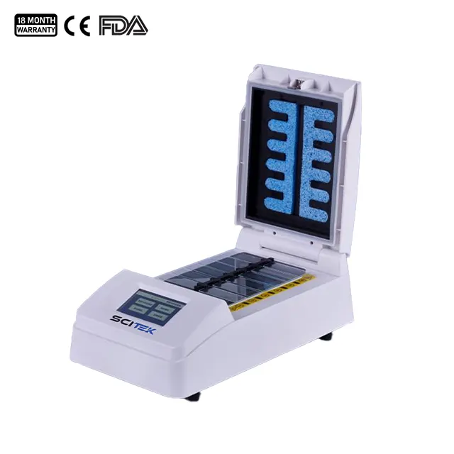 Hybridization & electrophoresis