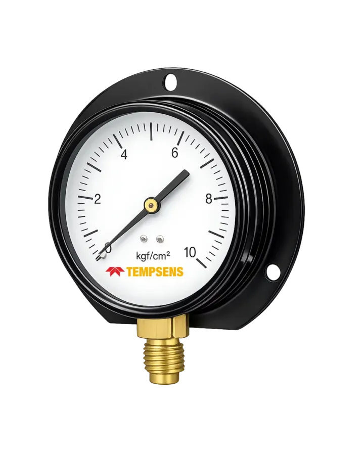 Manomètre industriel TMC05-2, boîtier acier