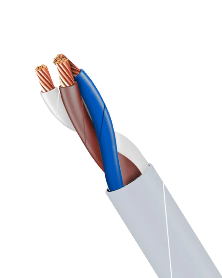 Control Cable (CP-101)