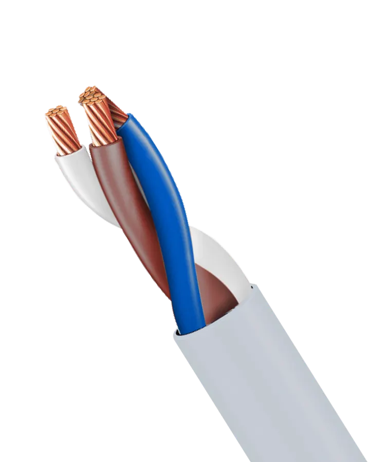 Control Cable (CS-101)