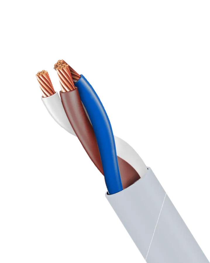 Control Cable (CT-101)