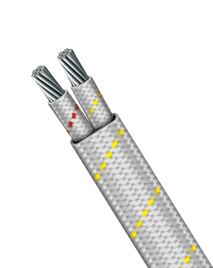 Câble thermocouple FG-101