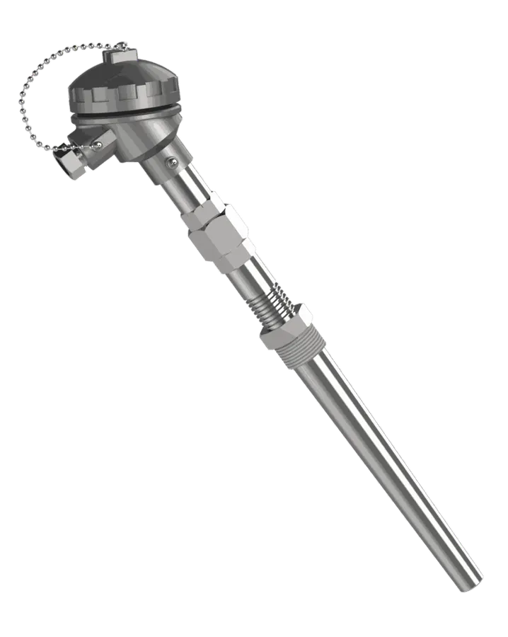 Sonde Pt100 R-651 avec mamelon-union-mamelon et doigt de gant conique