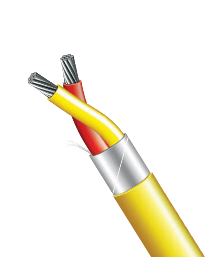 كابل مزدوجة حرارية P-301