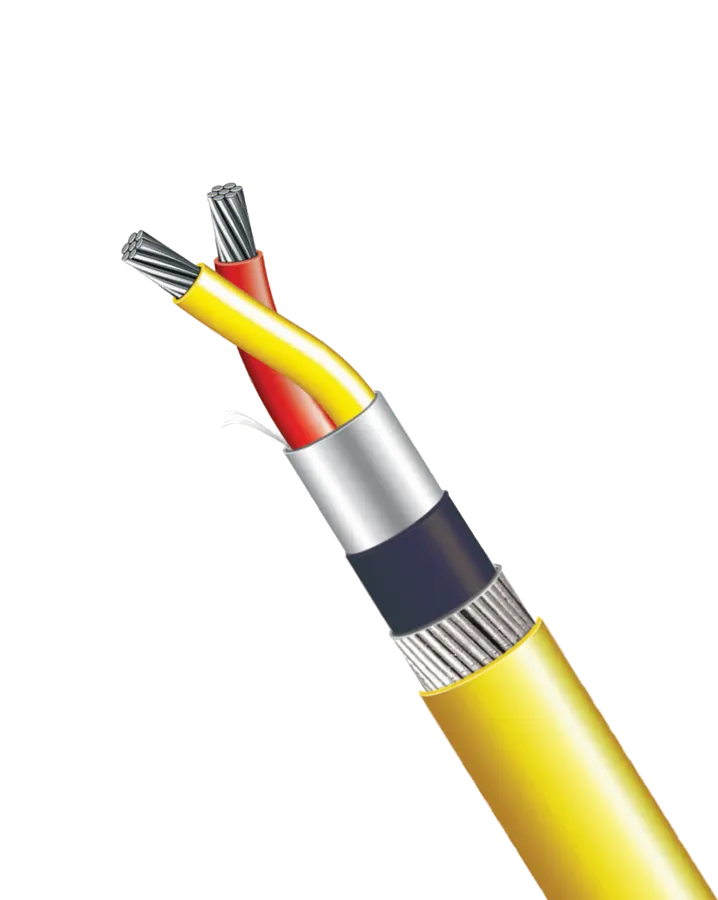 كابل مزدوجة حرارية P-401